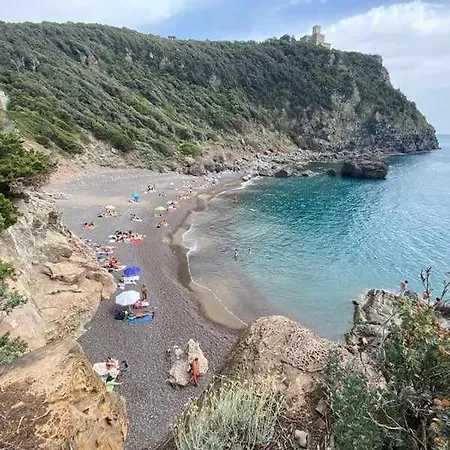 Narcisi * Tirrenia